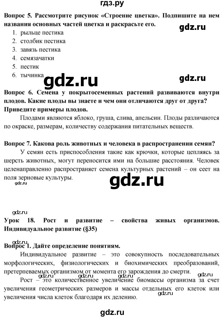 ГДЗ по биологии 6 класс Пасечник рабочая тетрадь страница - 45, Решебник 2016