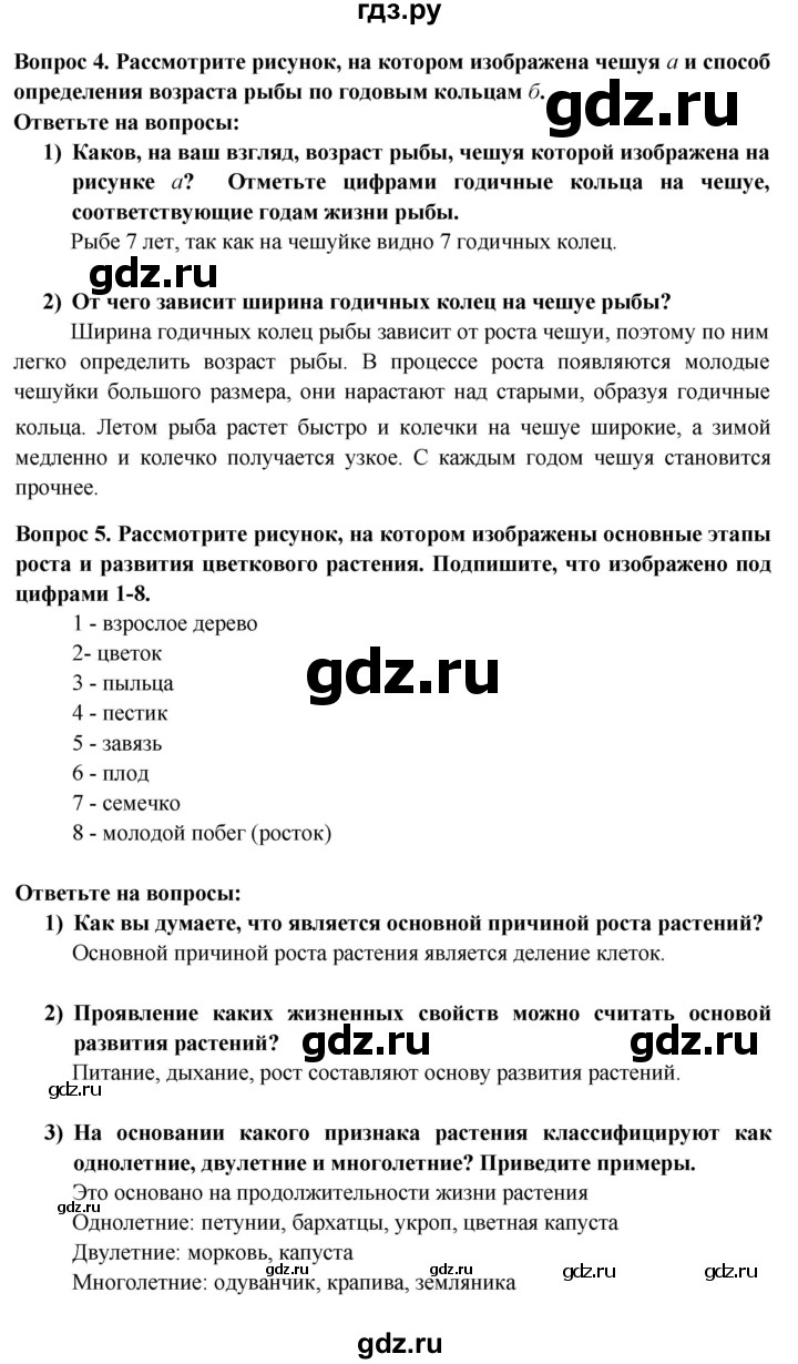 ГДЗ по биологии 6 класс Пасечник рабочая тетрадь страница - 47, Решебник 2016