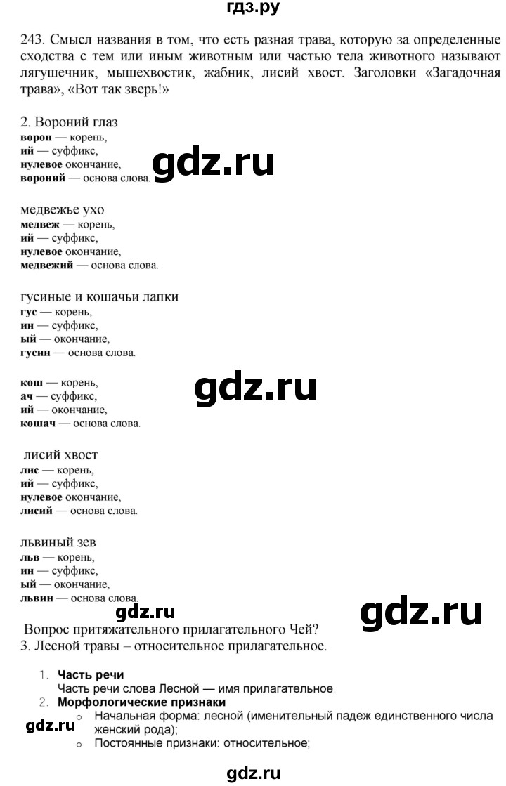 ГДЗ по русскому языку 6 класс Быстрова   часть 1 / упражнение - 243, Решебник №1 к учебнику 2014