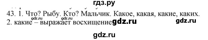 ГДЗ по русскому языку 6 класс Быстрова   часть 2 / упражнение - 43, Решебник №1 к учебнику 2014