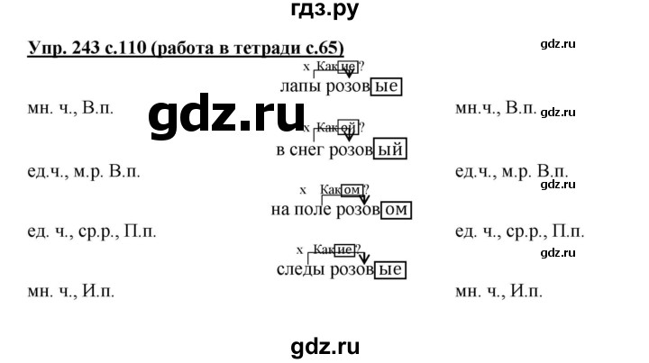ГДЗ по русскому языку 4 класс Соловейчик упражнение - 243, Решебник 2016