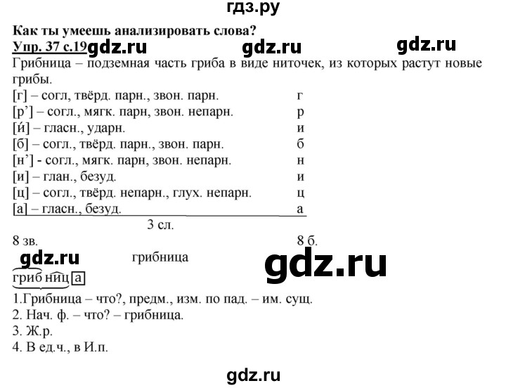 ГДЗ по русскому языку 4 класс Соловейчик упражнение - 37, Решебник 2016