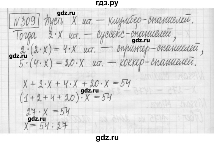 ГДЗ по математике 5 класс Гамбарин сборник  задач и упражнений  упражнение - 309, Решебник