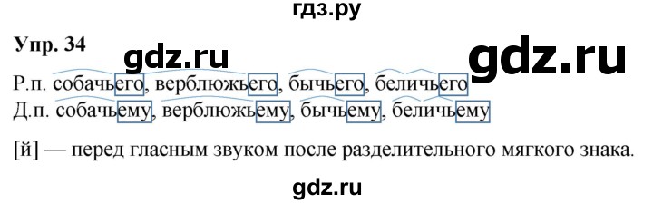 ГДЗ по русскому языку 6 класс Рыбченкова часть 2 / упражнение - 34, Решебник 2024