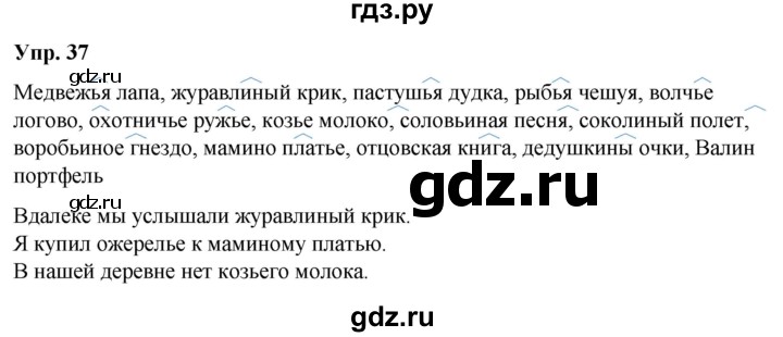 ГДЗ по русскому языку 6 класс Рыбченкова часть 2 / упражнение - 37, Решебник 2024