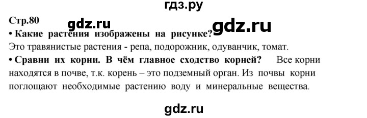 ГДЗ по окружающему миру 3 класс  Потапов   часть 1 Ивченкова (страница) - 80, Решебник