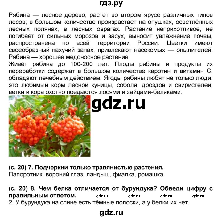 ГДЗ по окружающему миру 2 класс Виноградова рабочая тетрадь тетрадь №2. страница - 20, Решебник 2017