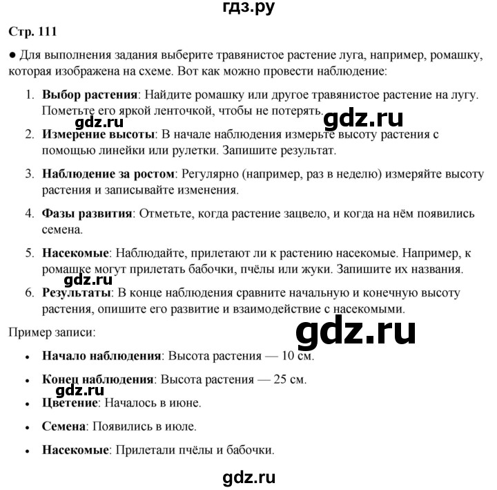 ГДЗ по окружающему миру 3 класс Плешаков часть 1. страница - 111, Решебник 2024