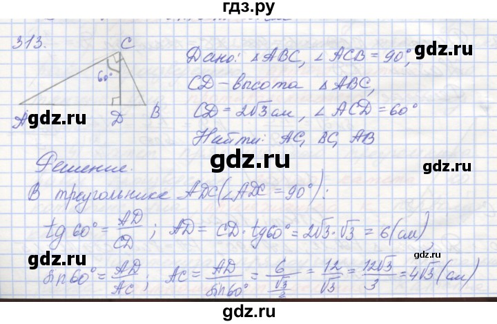 ГДЗ по геометрии 8 класс Мерзляк рабочая тетрадь  упражнение - 313, Решебник