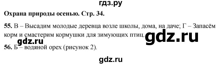 ГДЗ по окружающему миру 2 класс Плешаков тесты страница - 34, Решебник 2022