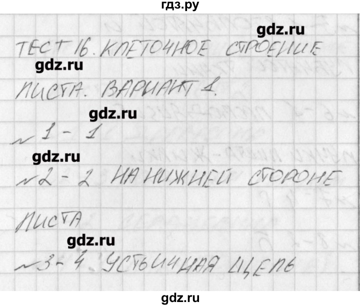 ГДЗ по биологии 6 класс Богданов контрольно-измерительные материалы  тест 16. вариант - 1, Решение