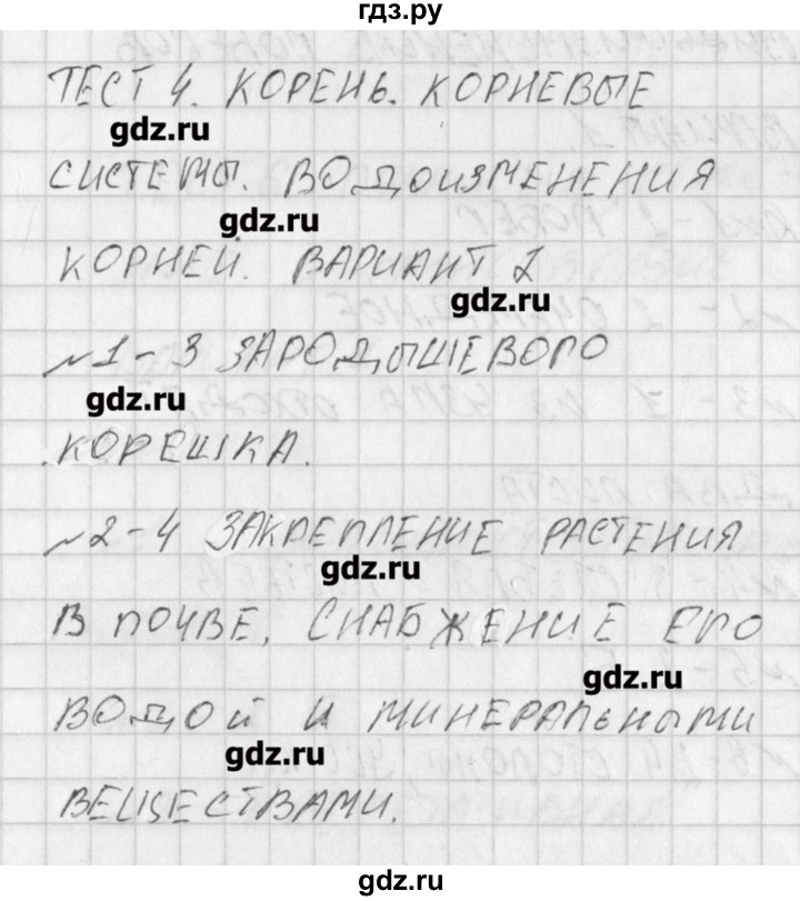 ГДЗ по биологии 6 класс Богданов контрольно-измерительные материалы  тест 4. вариант - 2, Решение