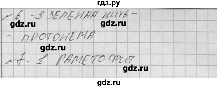 ГДЗ по биологии 6 класс Богданов контрольно-измерительные материалы  тест 31. вариант - 2, Решение