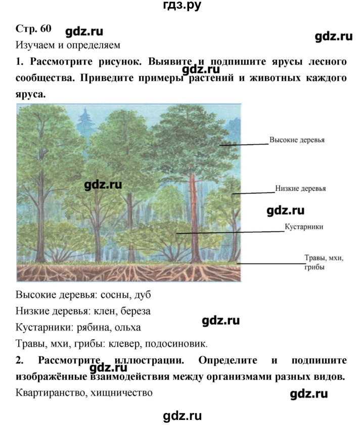 ГДЗ по биологии 9 класс Сухорукова тетрадь-тренажер  страница - 60, Решебник