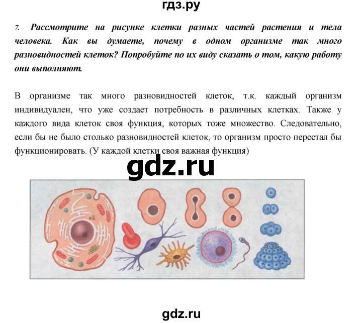 ГДЗ по биологии 5 класс  Сонин   §5 - 7, Решебник №1