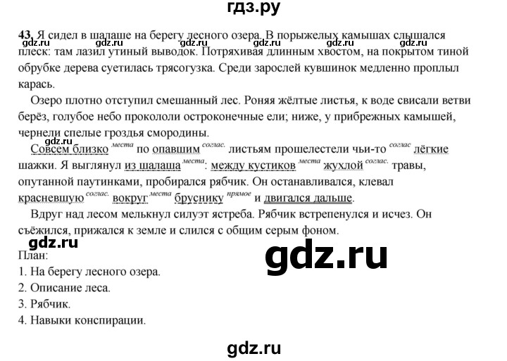 ГДЗ по русскому языку 8 класс Ефремова рабочая тетрадь (Бархударов ) упражнение - 43, Решебник 2024