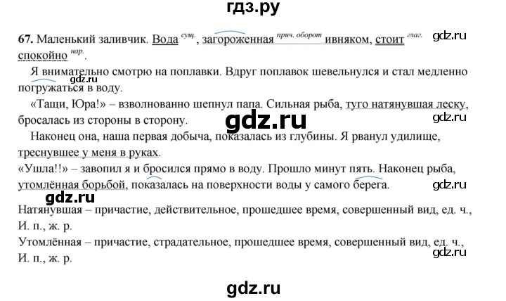 ГДЗ по русскому языку 8 класс Ефремова рабочая тетрадь (Бархударов ) упражнение - 67, Решебник 2024