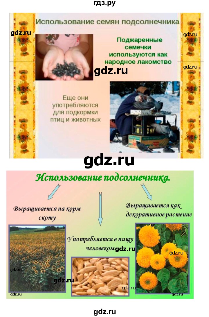 ГДЗ по биологии 7 класс Пономарева   параграф - 10, Решебник 2