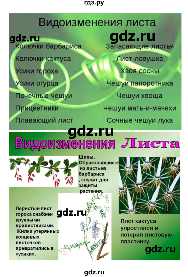 ГДЗ по биологии 7 класс Пономарева   параграф - 18, Решебник 2