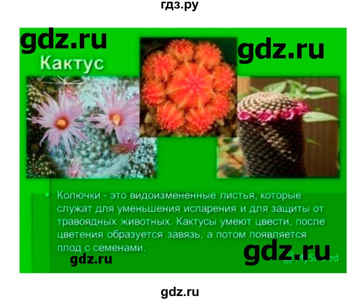 ГДЗ по биологии 7 класс Пономарева   параграф - 18, Решебник 2