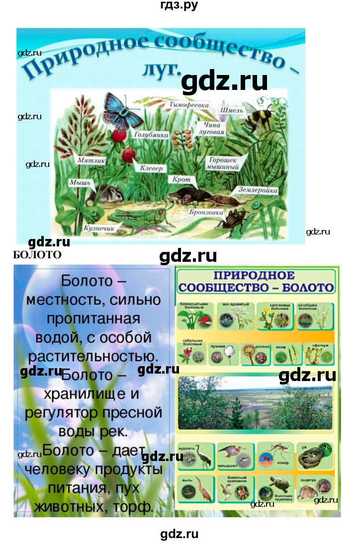 ГДЗ по биологии 7 класс Пономарева   параграф - 55, Решебник 2