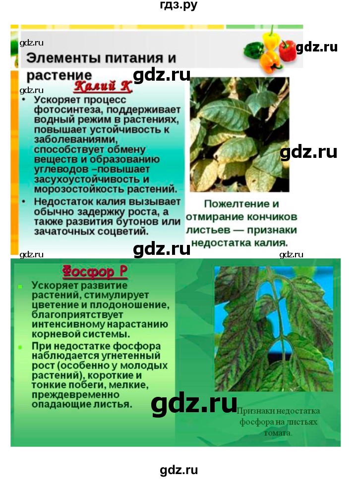ГДЗ по биологии 7 класс Пономарева рабочая тетрадь  параграф - 19, Решебник