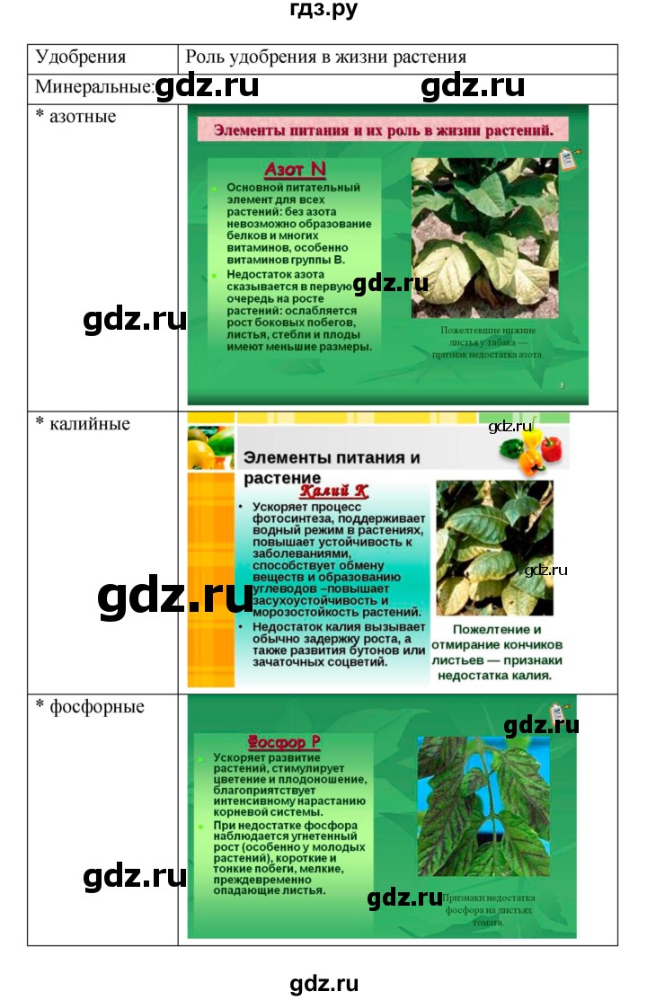 ГДЗ по биологии 7 класс Пономарева рабочая тетрадь  параграф - 25, Решебник