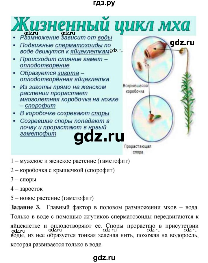 ГДЗ по биологии 7 класс Пономарева рабочая тетрадь  параграф - 38, Решебник