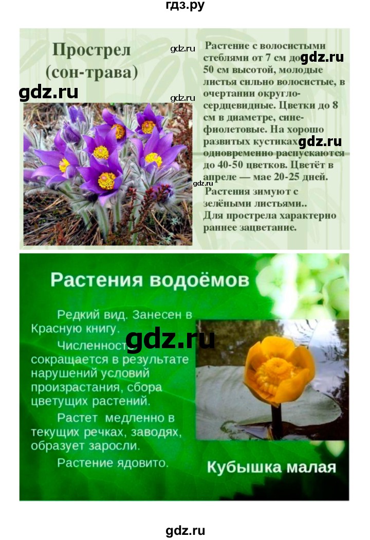 ГДЗ по биологии 7 класс Пономарева рабочая тетрадь  параграф - 45, Решебник