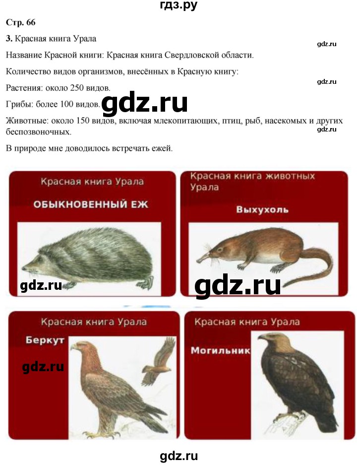ГДЗ по окружающему миру 4 класс Плешаков рабочая тетрадь часть 1. страница - 66, Решебник 2025