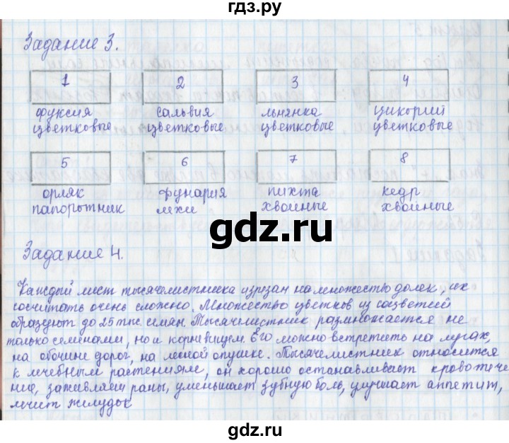 ГДЗ по окружающему миру 3 класс Плешаков рабочая тетрадь часть 1. страница - 53, Решебник 2017