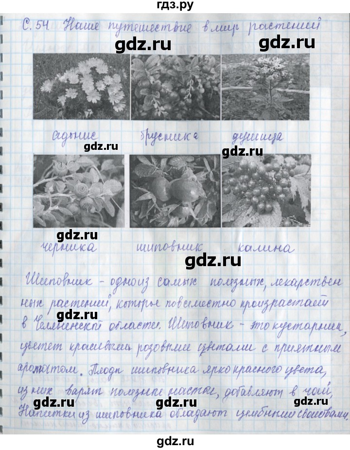 ГДЗ по окружающему миру 3 класс Плешаков рабочая тетрадь часть 1. страница - 54, Решебник 2017