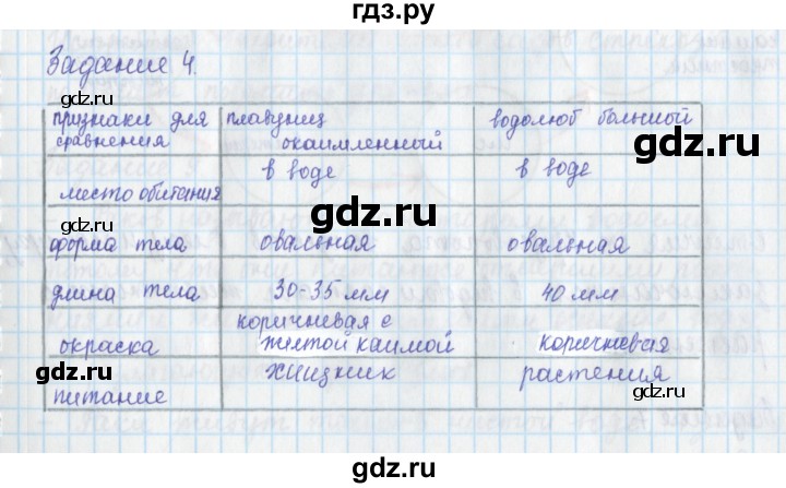 ГДЗ по окружающему миру 3 класс Плешаков рабочая тетрадь часть 1. страница - 75, Решебник 2017