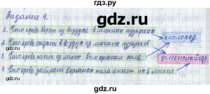 ГДЗ по окружающему миру 3 класс Плешаков рабочая тетрадь часть 2. страница - 31, Решебник 2017