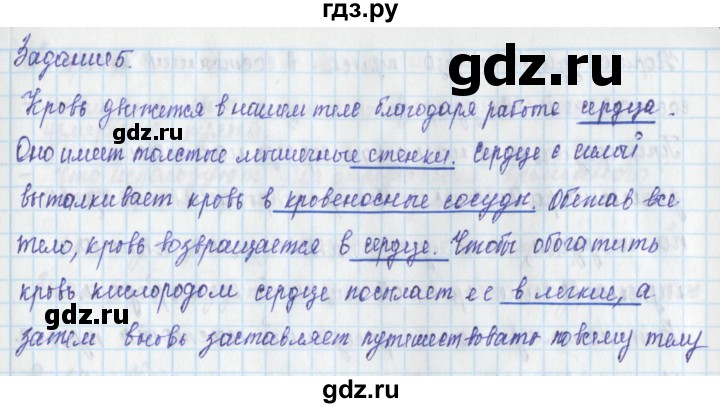 ГДЗ по окружающему миру 3 класс Плешаков рабочая тетрадь часть 2. страница - 31, Решебник 2017