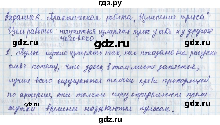 ГДЗ по окружающему миру 3 класс Плешаков рабочая тетрадь часть 2. страница - 32, Решебник 2017