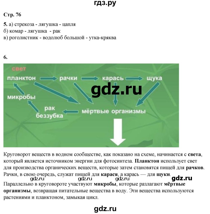 ГДЗ по окружающему миру 3 класс Плешаков рабочая тетрадь часть 1. страница - 76, Решебник 2024