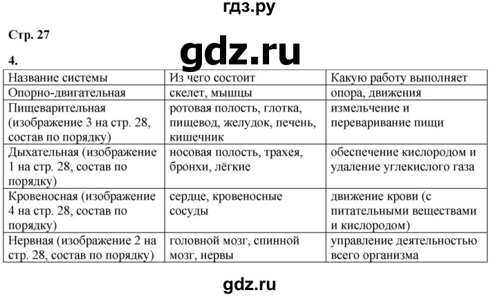 ГДЗ по окружающему миру 3 класс Плешаков рабочая тетрадь часть 2. страница - 27, Решебник 2024
