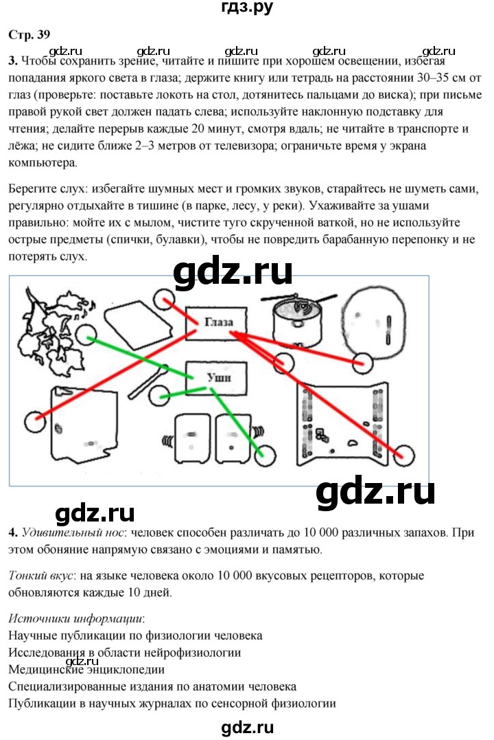 ГДЗ по окружающему миру 3 класс Плешаков рабочая тетрадь часть 2. страница - 39, Решебник 2024