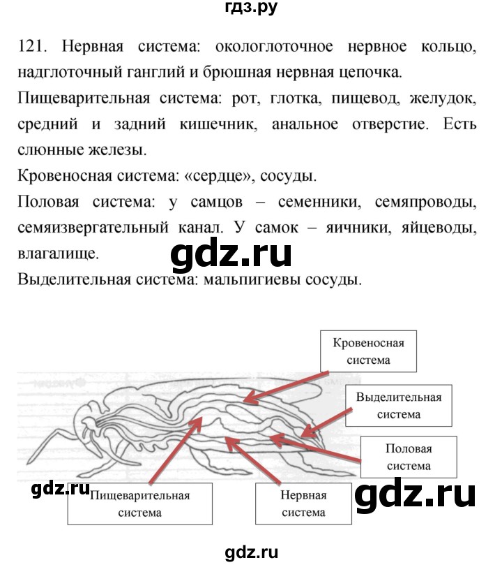 ГДЗ по биологии 7 класс Захаров рабочая тетрадь  упражнение - 121, Решебник