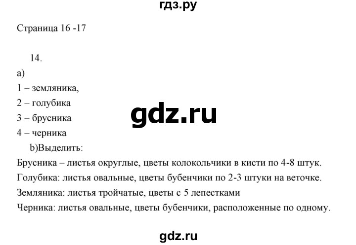 ГДЗ по информатике 2 класс Бененсон часть 1 (страницы) - 16-17, Решебник
