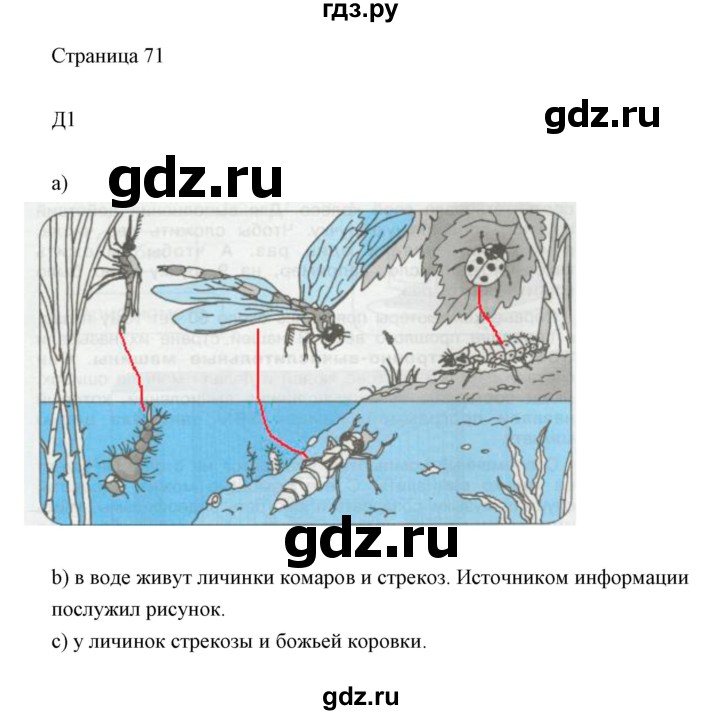 ГДЗ по информатике 2 класс Бененсон часть 1 (страницы) - 71, Решебник