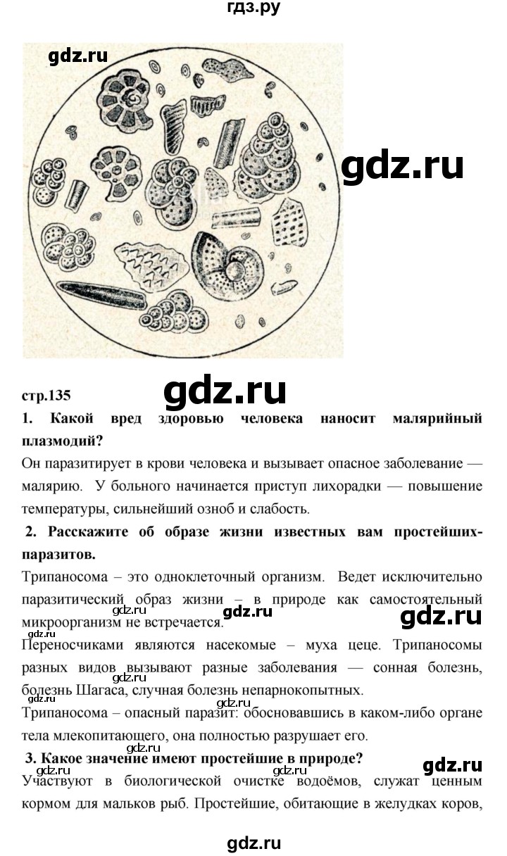 ГДЗ по биологии 7 класс Пасечник   параграф - 36, Решебник