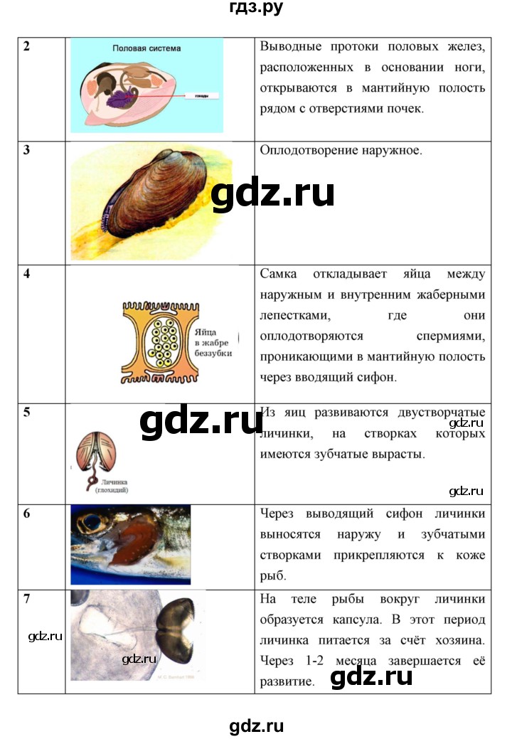 ГДЗ по биологии 7 класс Сивоглазов   параграф - 19, Решебник