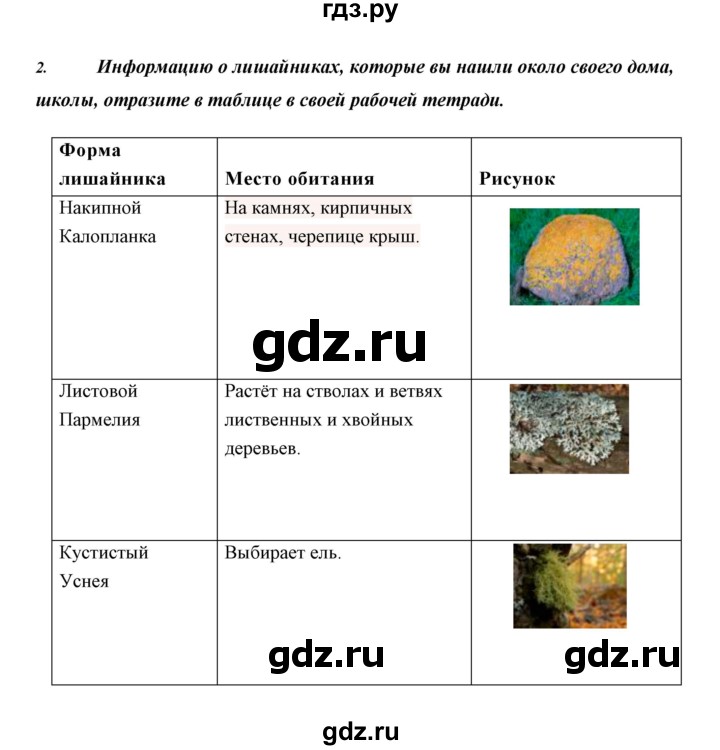 ГДЗ по биологии 5 класс Сивоглазов   параграф - 24, Решебник