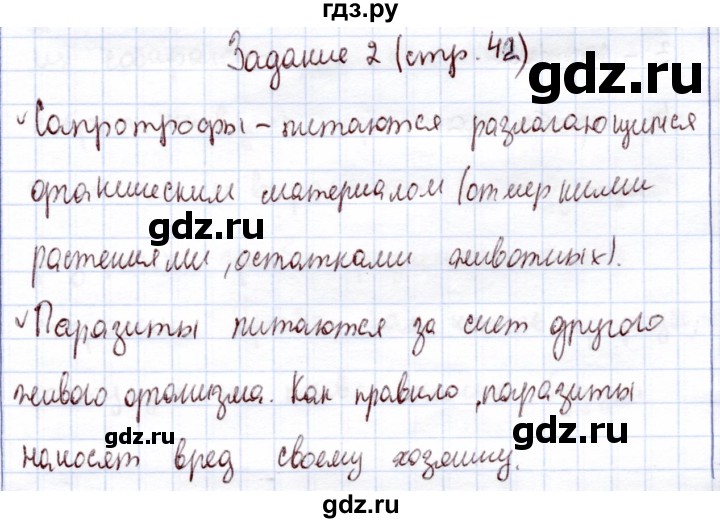 ГДЗ по экологии 6 класс Горская рабочая тетрадь  страница - 42, Решебник