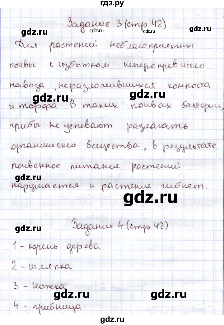 ГДЗ по экологии 6 класс Горская рабочая тетрадь  страница - 42, Решебник