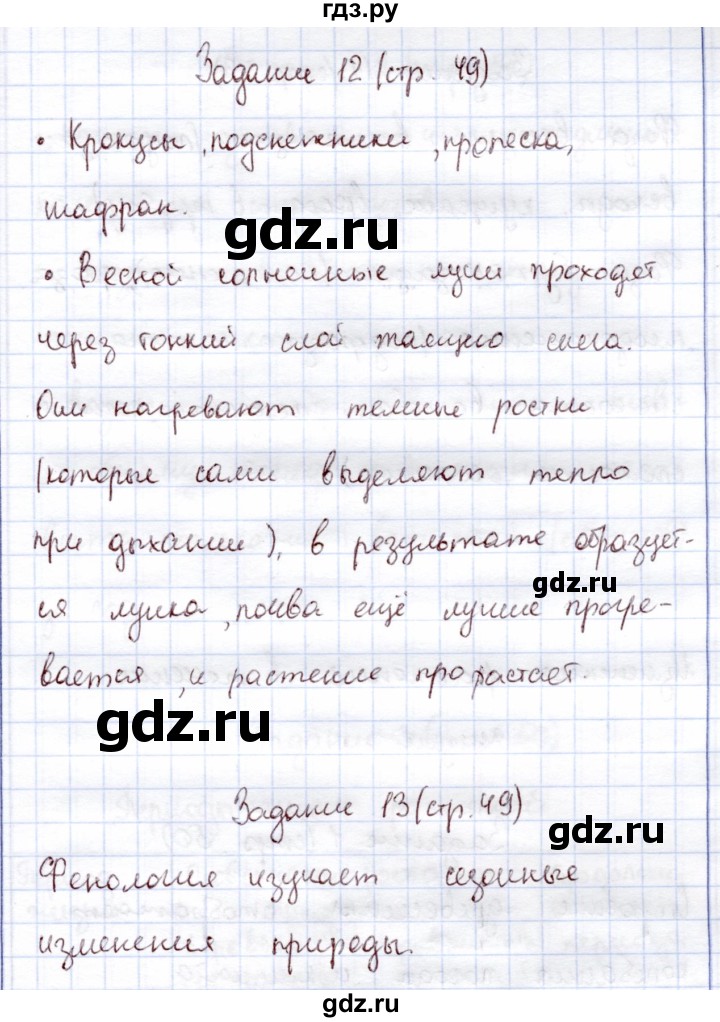 ГДЗ по экологии 6 класс Горская рабочая тетрадь  страница - 49, Решебник