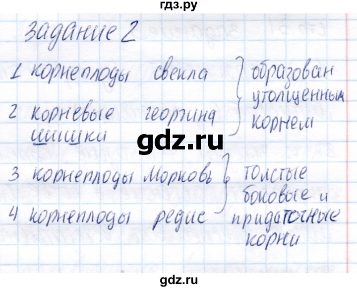 ГДЗ по биологии 6 класс Пономарева рабочая тетрадь  часть 1. страница - 29, Решебник