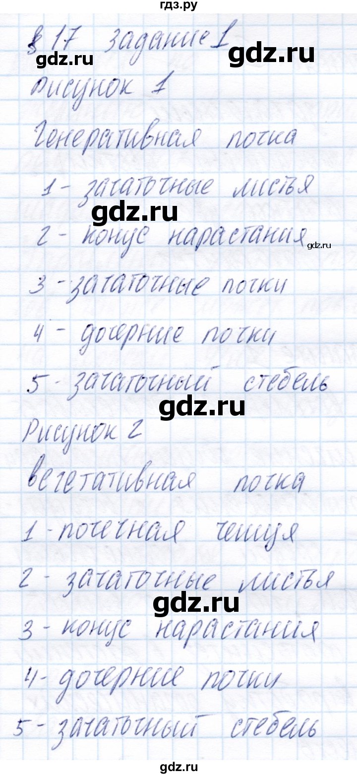 ГДЗ по биологии 6 класс Пономарева рабочая тетрадь  часть 1. страница - 33, Решебник